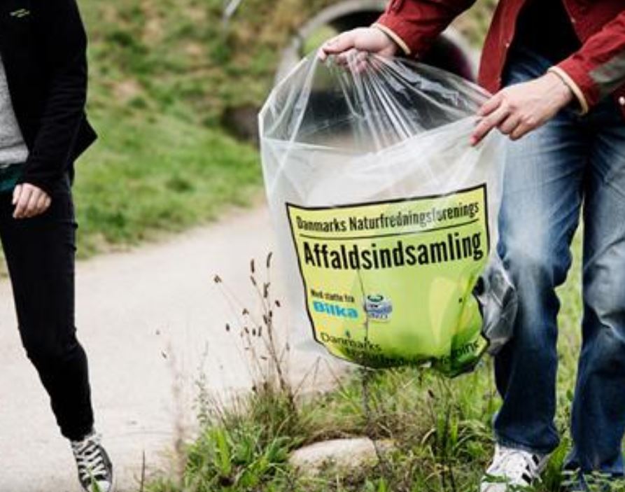 Affaldsindsamling og bålhygge